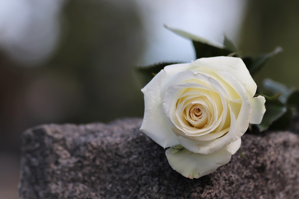 4 דרכים להאריך את הקשר הקצרצר שלך