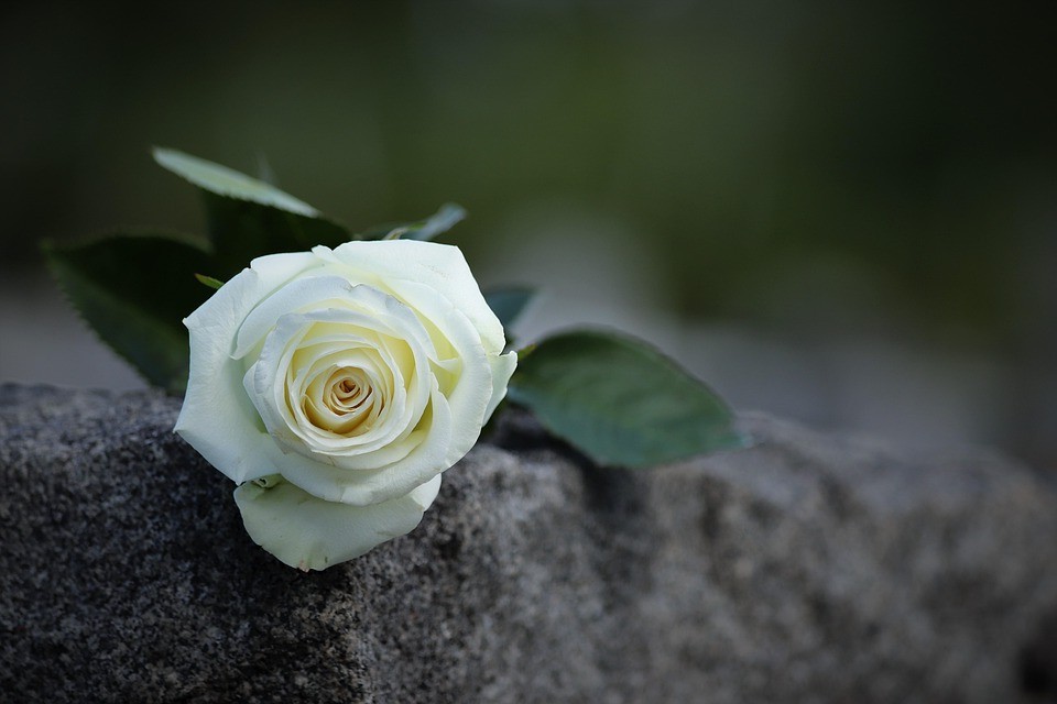 חמש רעיונות מקוריים ומיוחדים לסרטי תאריך