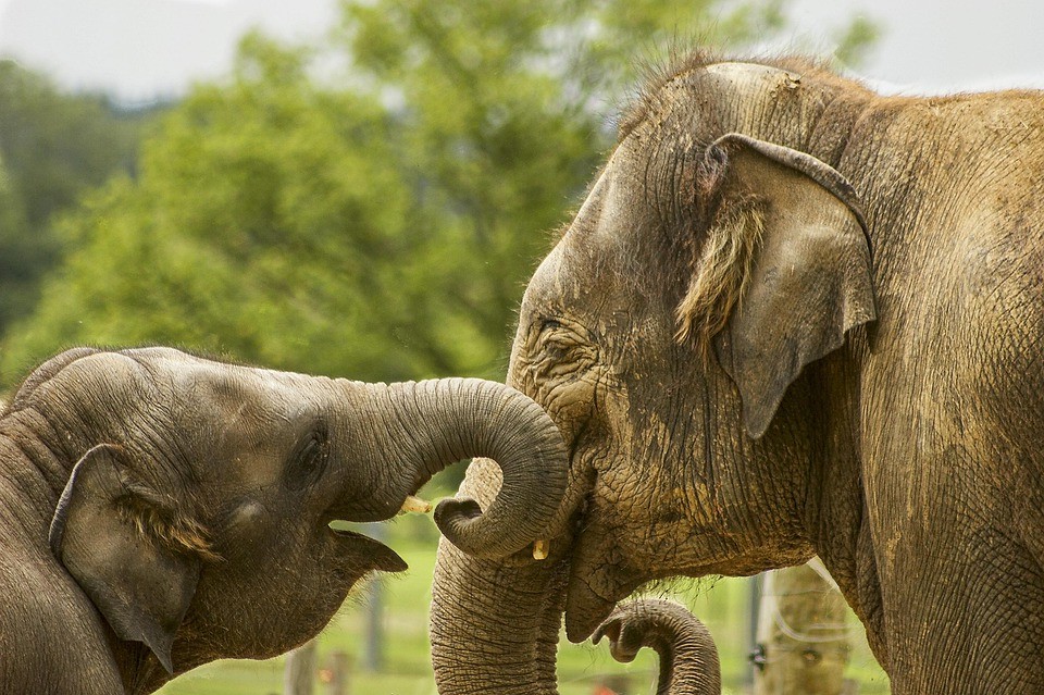 רעיונות זולים למתנות ליום האהבה בשביל החבר שלך