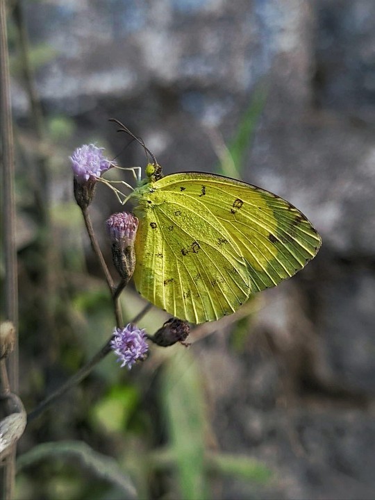 ארבע דרכים פרקטיות וכיפיות להתחיל חברויות חדשות
