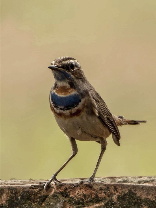 ארבע מקומות שאסור ללכת אליהם לפגישה רומנטית
